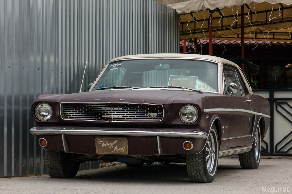 Крым, № (82) Б/Н 0008 — Ford Mustang (1G) '65-73
