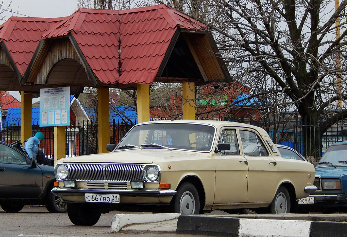 Белгородская область, № С 667 ВО 31 — ГАЗ-24 Волга '68-86
