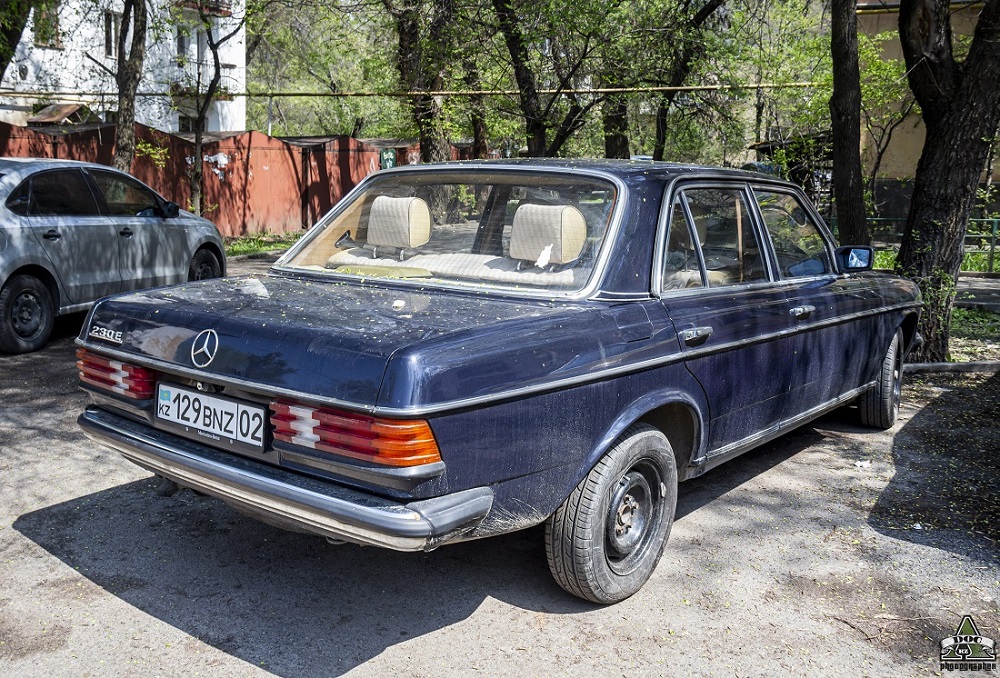 Алматы, № 129 BNZ 02 — Mercedes-Benz (W123) '76-86
