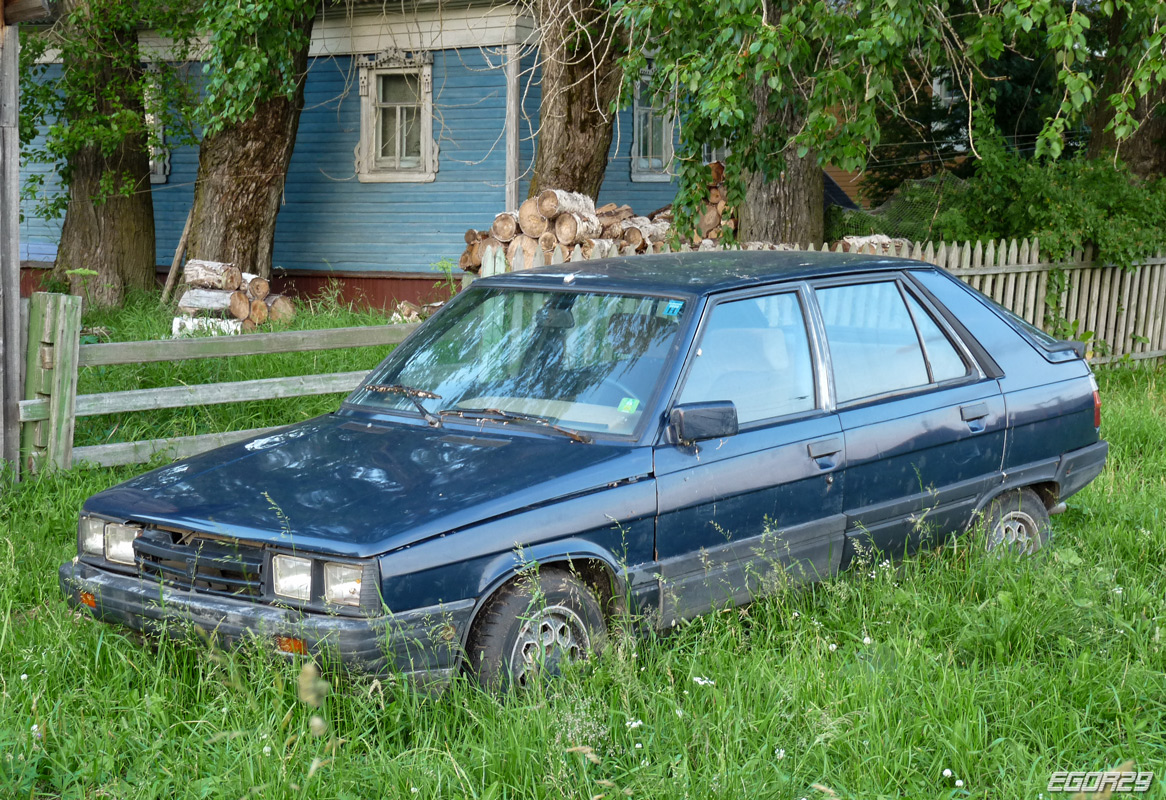 Архангельская область, № (29) Б/Н 0033 — Renault 11 '81-89