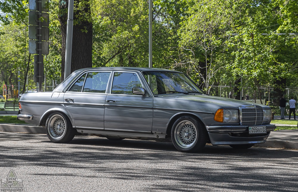 Алматы, № 055 RVD 02 — Mercedes-Benz (W123) '76-86