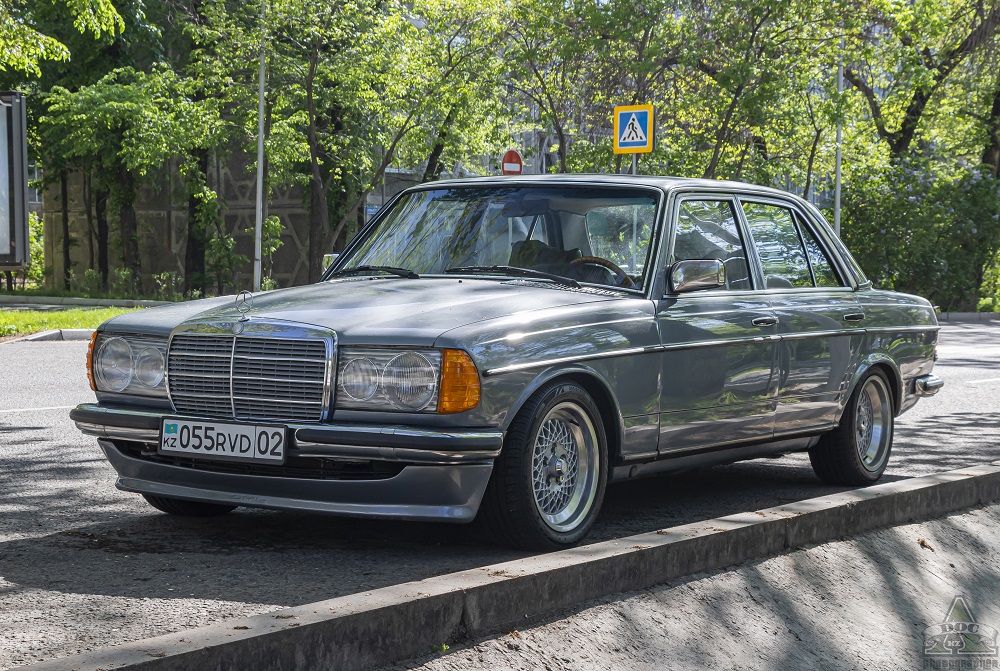 Алматы, № 055 RVD 02 — Mercedes-Benz (W123) '76-86