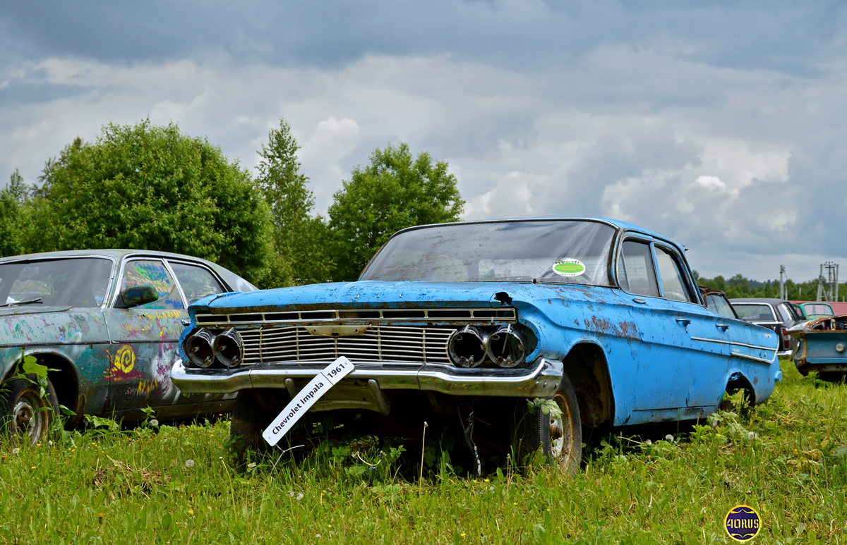 Московская область, № (50) Б/Н 0164 — Chevrolet Impala (3G) '61-64
