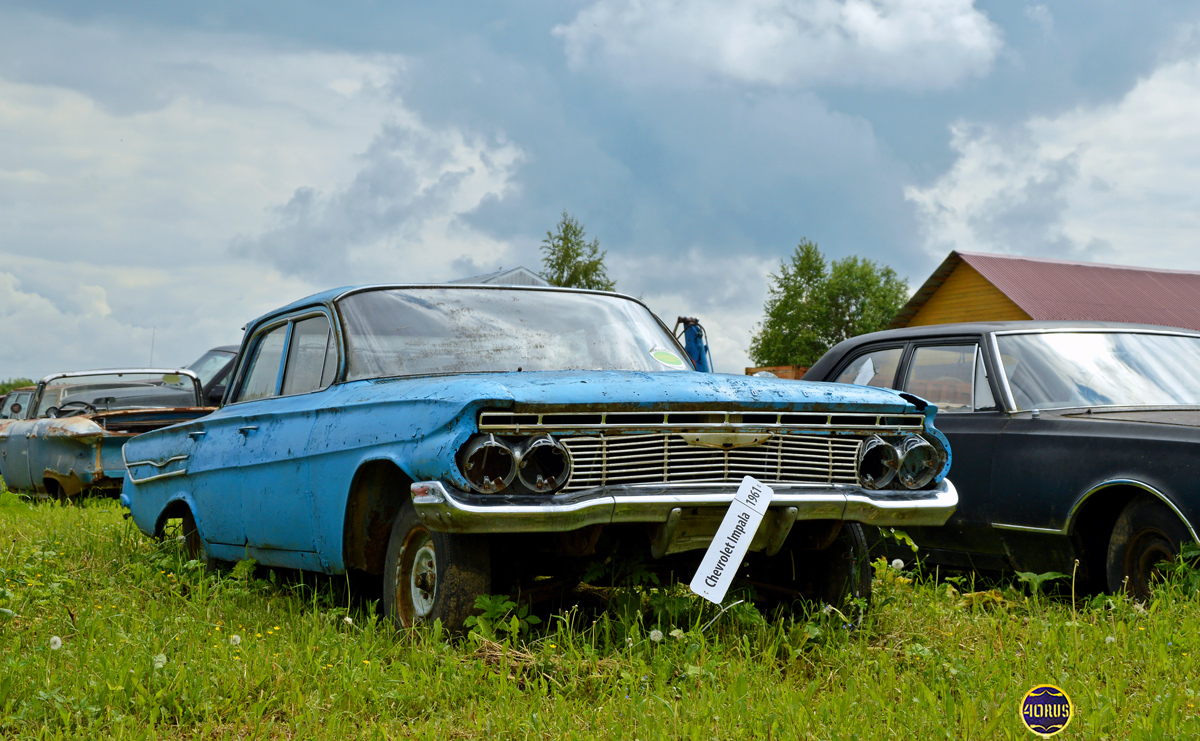 Московская область, № (50) Б/Н 0164 — Chevrolet Impala (3G) '61-64