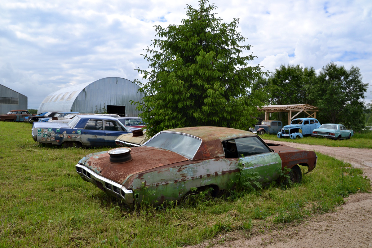 Московская область, № (50) Б/Н 0174 — Chevrolet Impala (4G) '65-70
