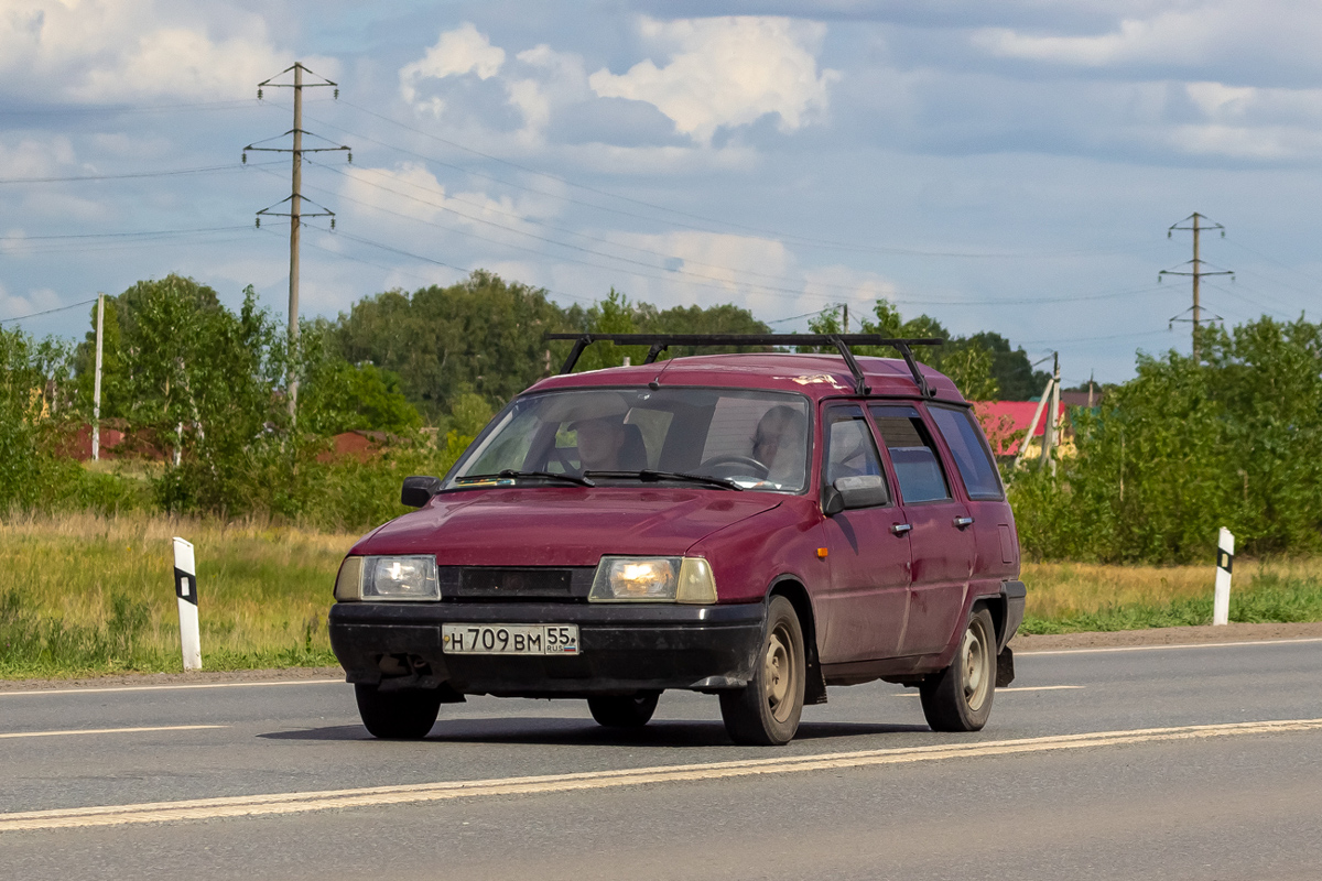 Омская область, № Н 709 ВМ 55 — Иж-21261 Фабула '02-05