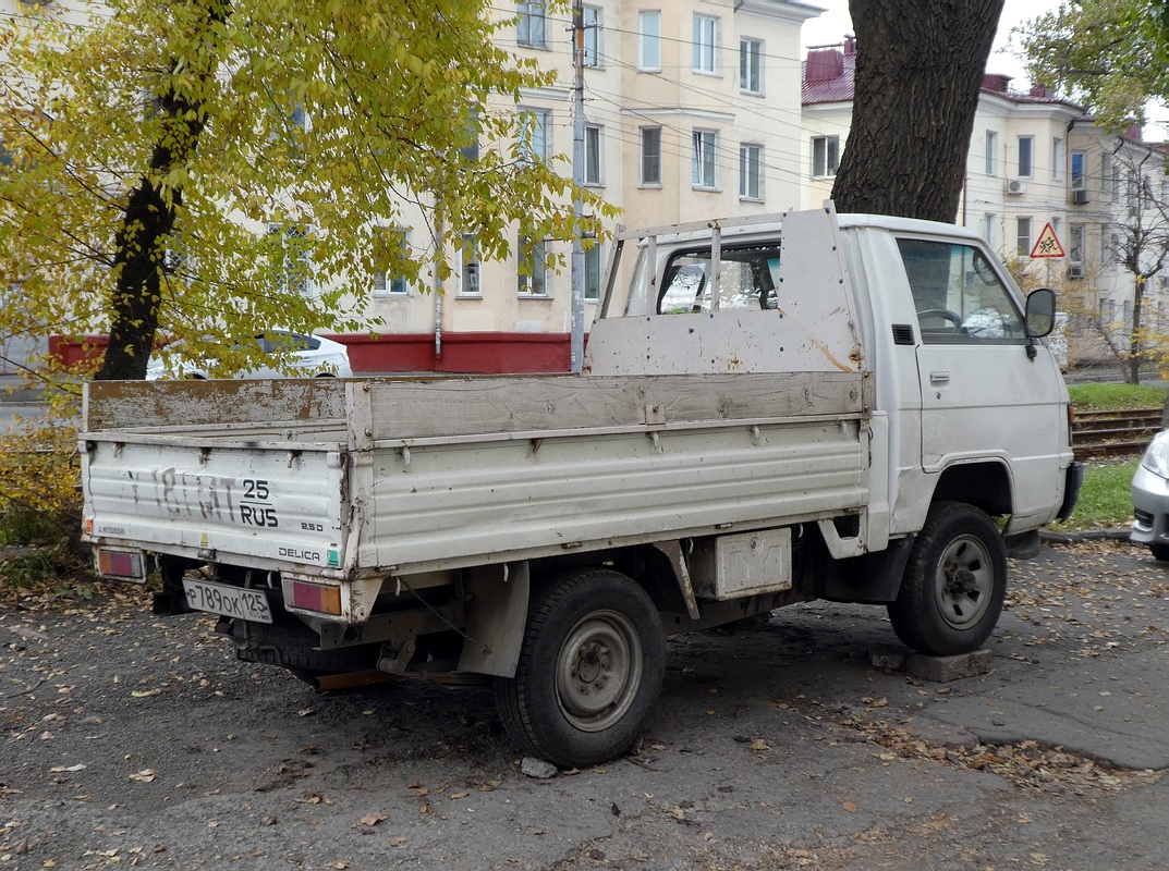 Приморский край, № Р 789 ОК 125 — Mitsubishi Delica '79–94