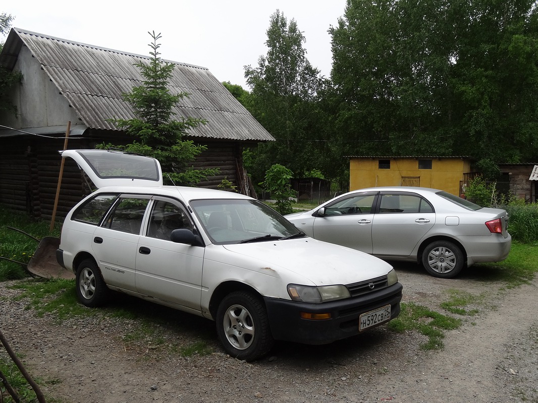 Приморский край, № Н 592 СВ 25 — Toyota Corolla (E100) '91-02