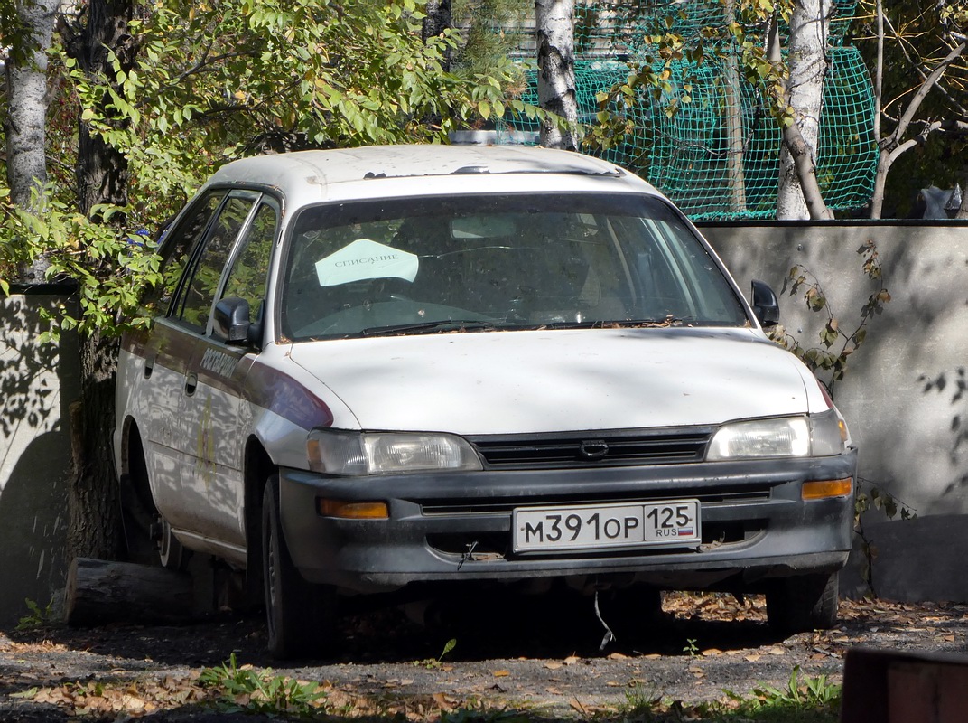 Приморский край, № М 391 ОР 125 — Toyota Corolla (E100) '91-02