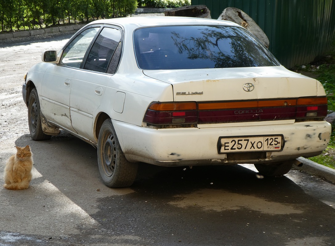 Приморский край, № Е 257 ХО 125 — Toyota Corolla (E100) '91-02