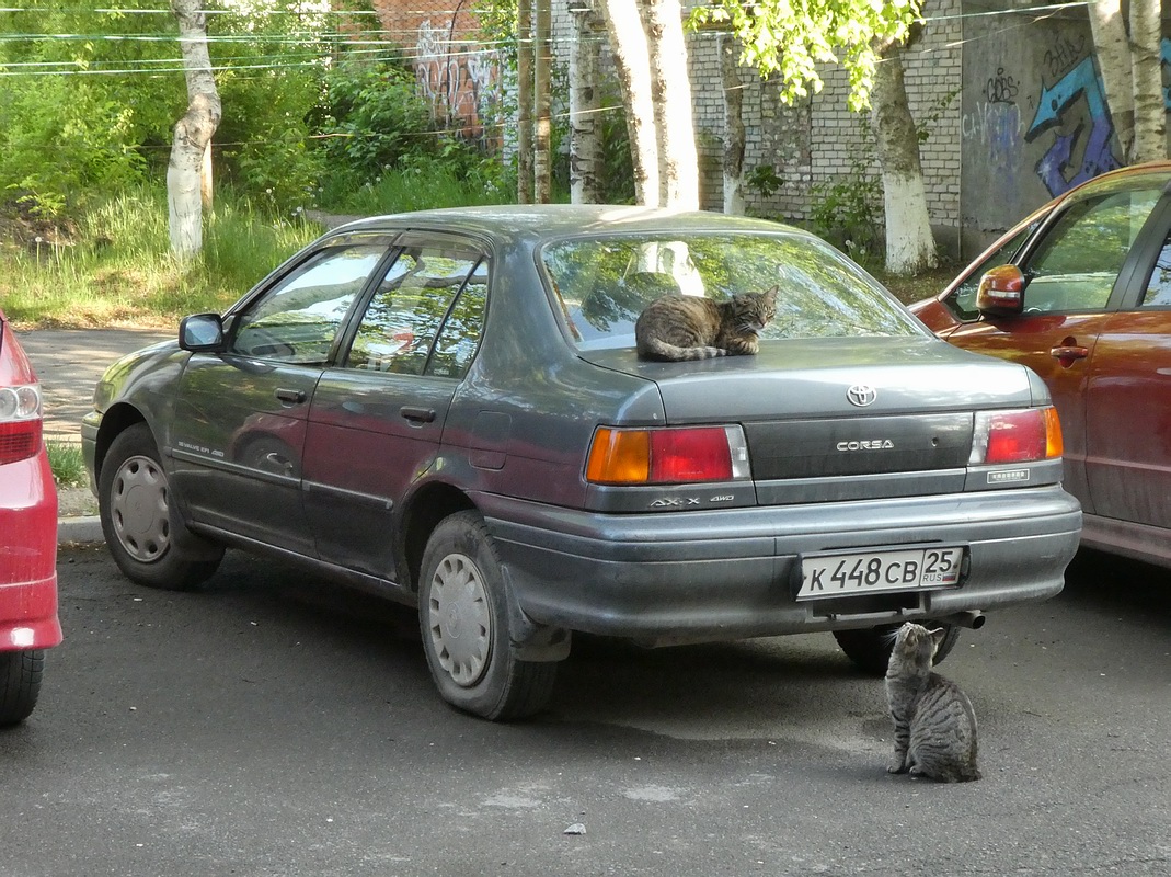 Приморский край, № К 448 СВ 25 — Toyota Corsa (L40) '90–94