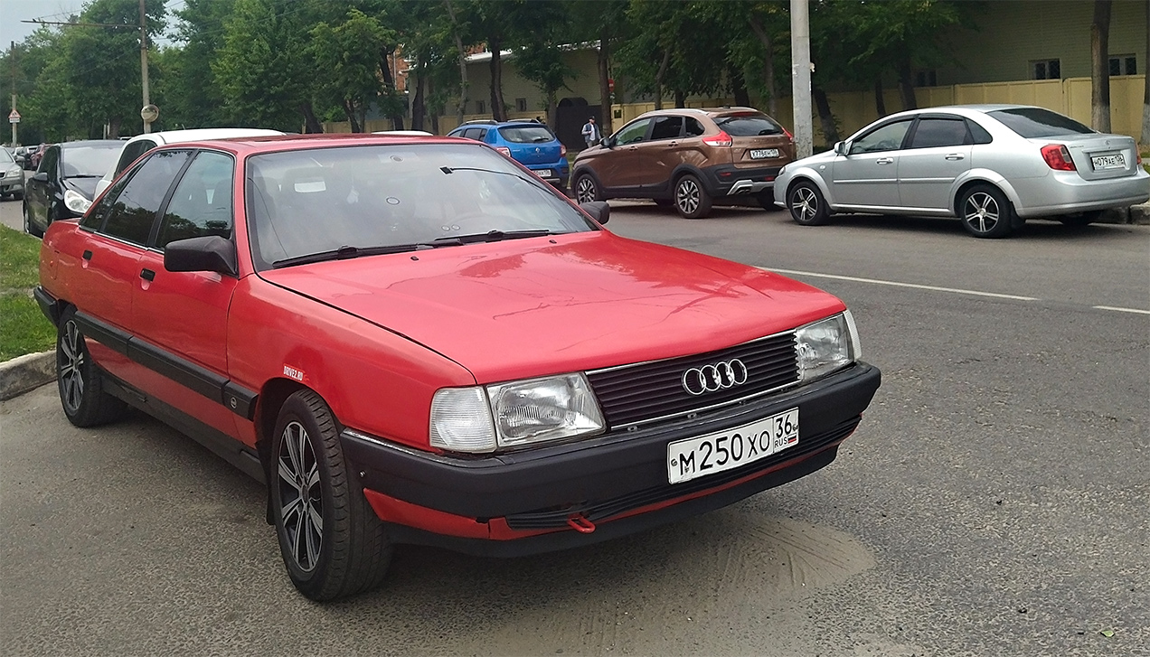 Воронежская область, № М 250 ХО 36 — Audi 100 (C3) '82-91