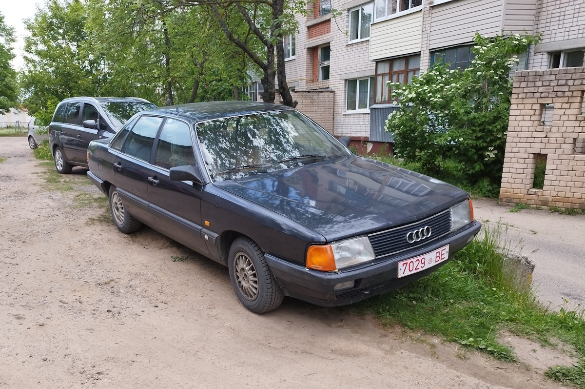 Витебская область, № 7029 ВЕ — Audi 100 (C3) '82-91