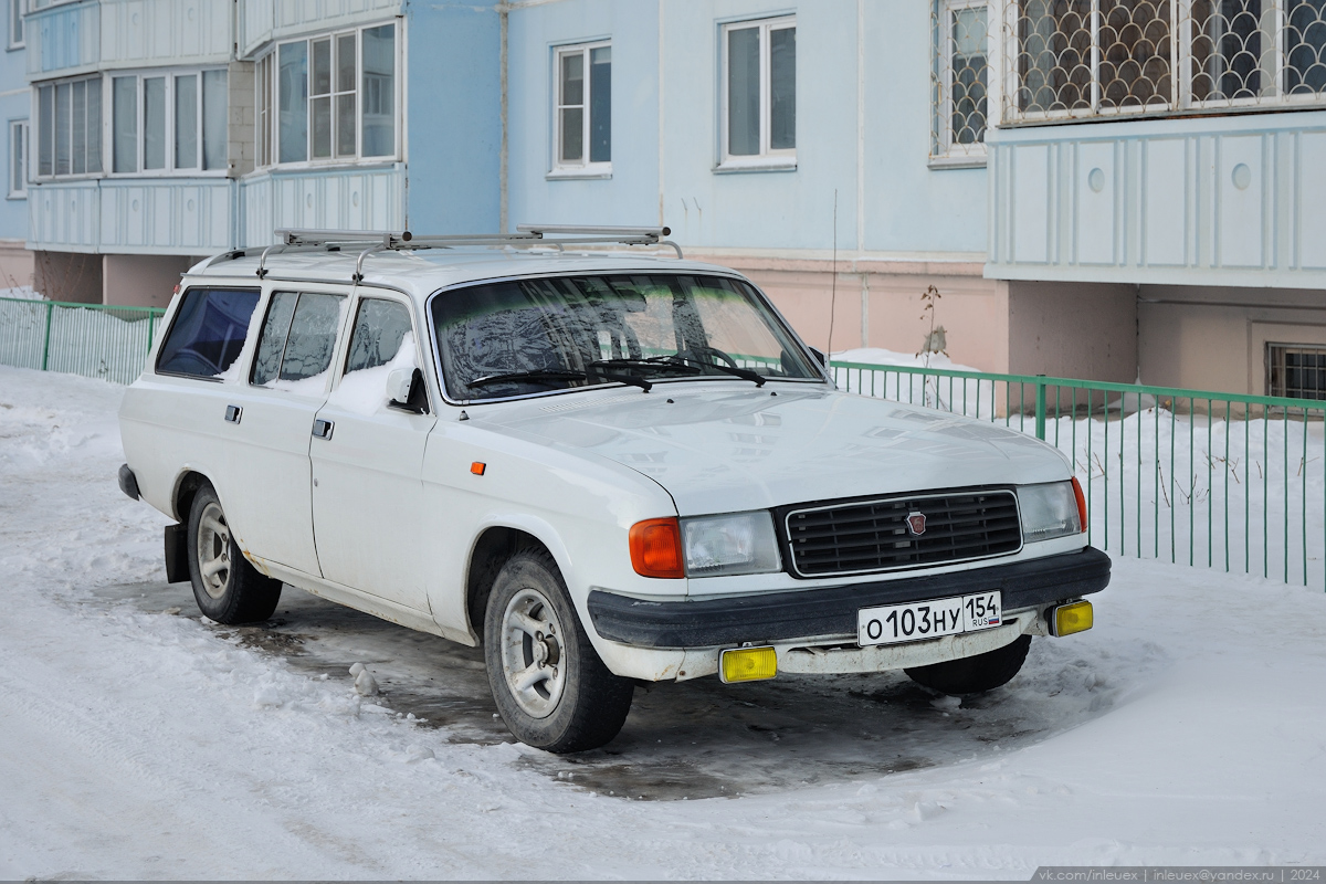 Новосибирская область, № О 103 НУ 154 — ГАЗ-31022 '93-98