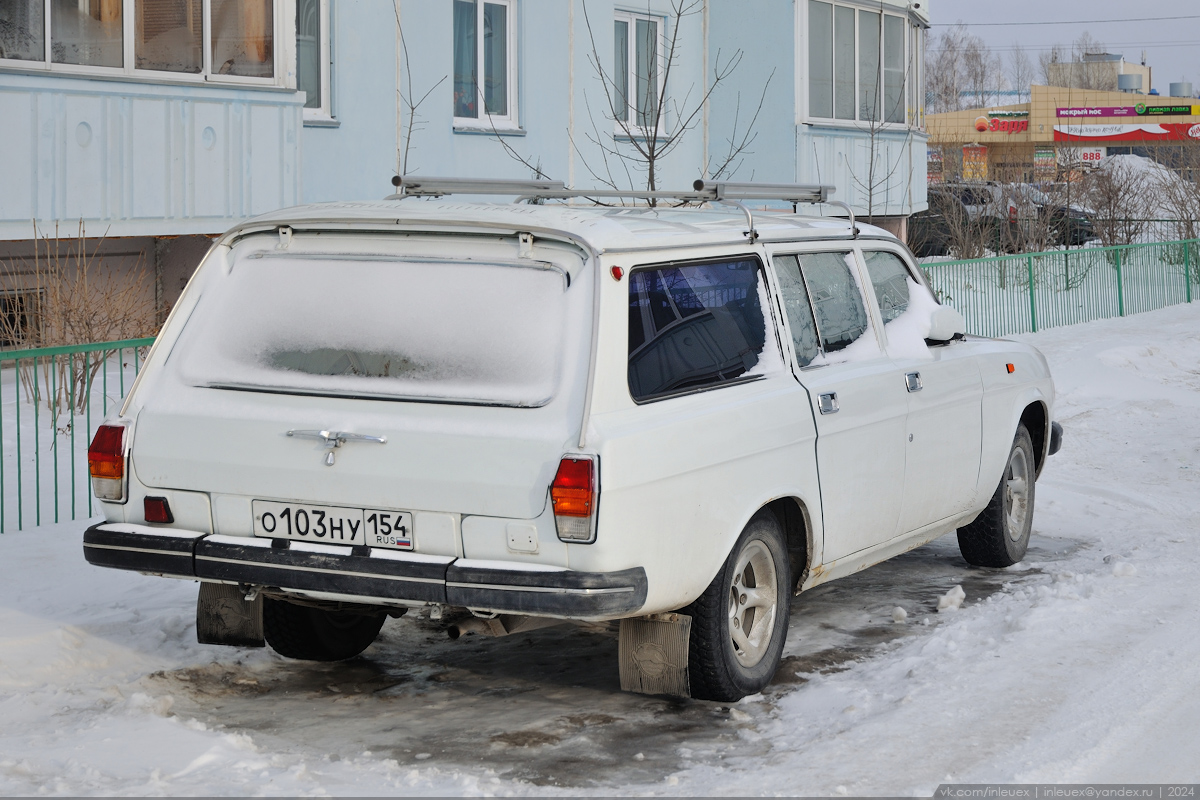 Новосибирская область, № О 103 НУ 154 — ГАЗ-31022 '93-98