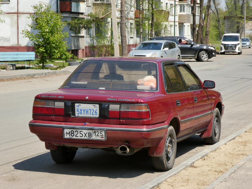 Приморский край, № М 825 ХВ 125 — Toyota Corolla (E90) '87-92