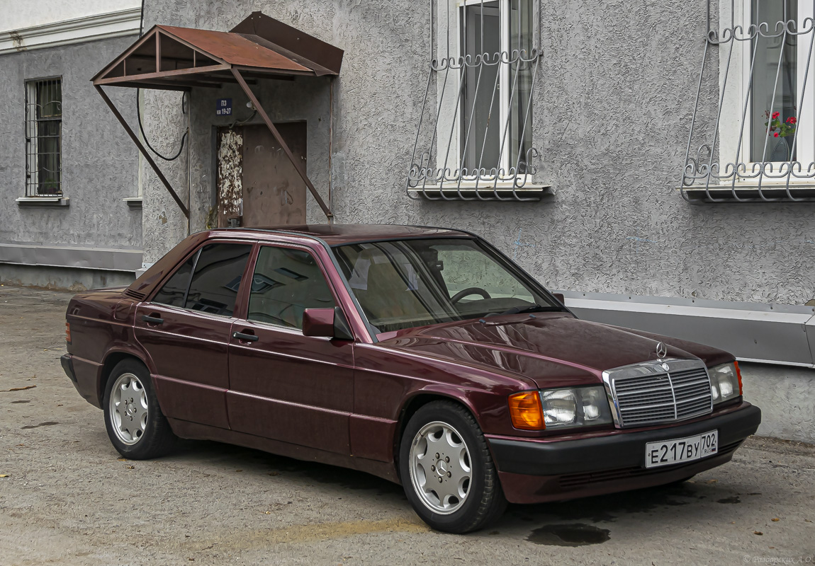 Башкортостан, № Е 217 ВУ 702 — Mercedes-Benz (W201) '82-93