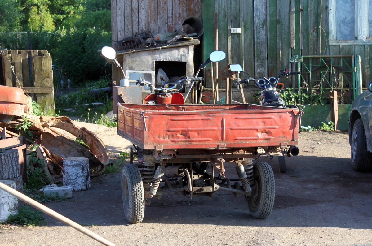 Псковская область, № (60) Б/Н МТ 0003 — ТГА-200 Муравей '67-95