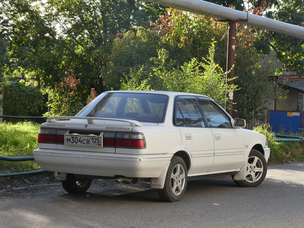 Приморский край, № М 304 СВ 125 — Toyota Corolla (E90) '87-92