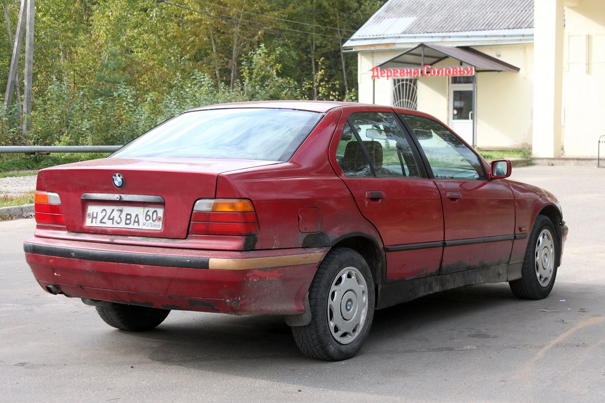 Псковская область, № Н 243 ВА 60 — BMW 3 Series (E36) '90-00