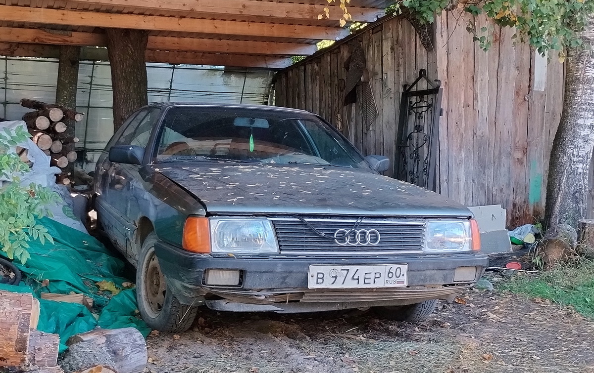 Псковская область, № В 974 ЕР 60 — Audi 100 Avant (C3) '82-91