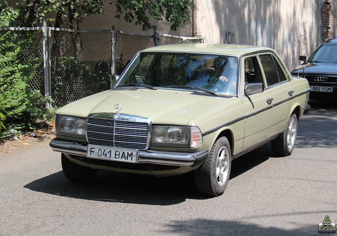 Восточно-Казахстанская область, № F 041 BAM — Mercedes-Benz (W123) '76-86