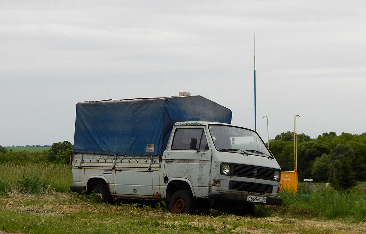 Белгородская область, № Е 569 МС 31 — Volkswagen Typ 2 (Т3) '79-92