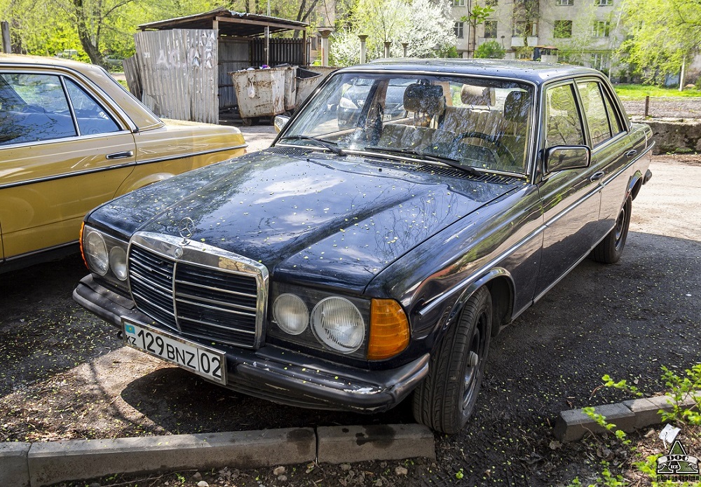 Алматы, № 129 BNZ 02 — Mercedes-Benz (W123) '76-86