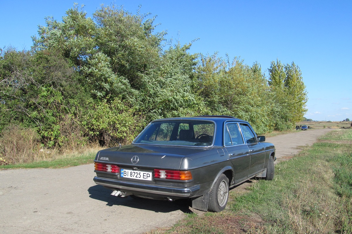 Полтавская область, № ВІ 8725 ЕР — Mercedes-Benz (W123) '76-86
