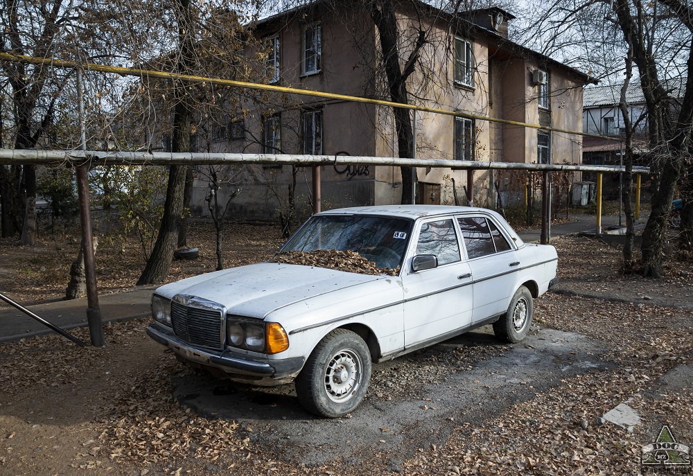 Алматы, № (KZ02) Б/Н 0029 — Mercedes-Benz (W123) '76-86