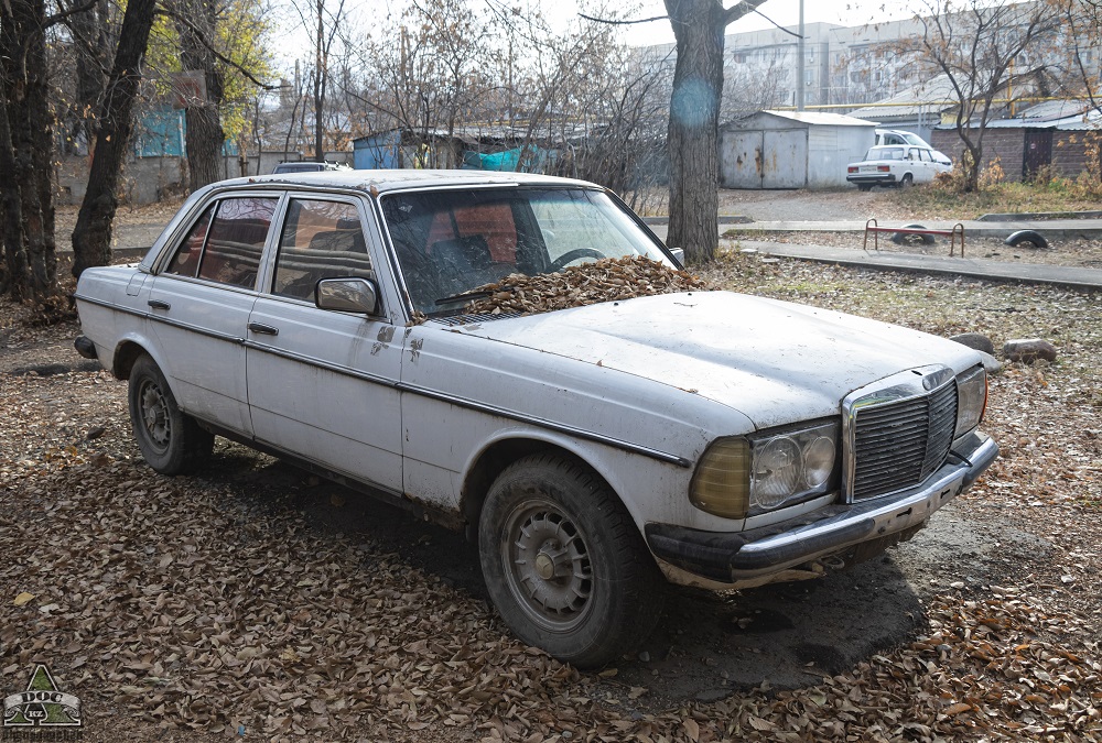 Алматы, № (KZ02) Б/Н 0029 — Mercedes-Benz (W123) '76-86