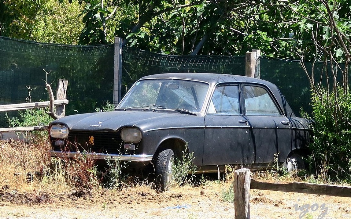Босния и Герцеговина, № (BIH) U/N 0001 — Peugeot 204 '65-76