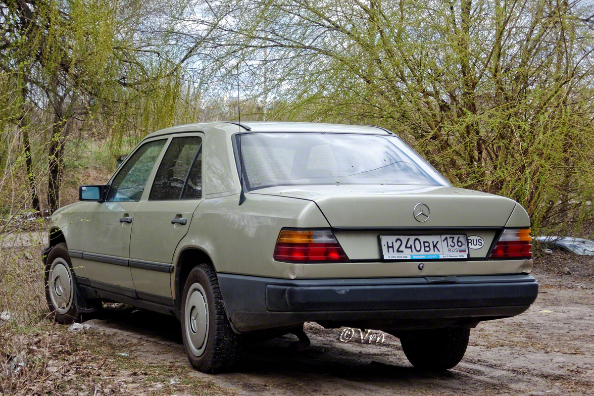 Воронежская область, № Н 240 ВК 136 — Mercedes-Benz (W124) '84-96