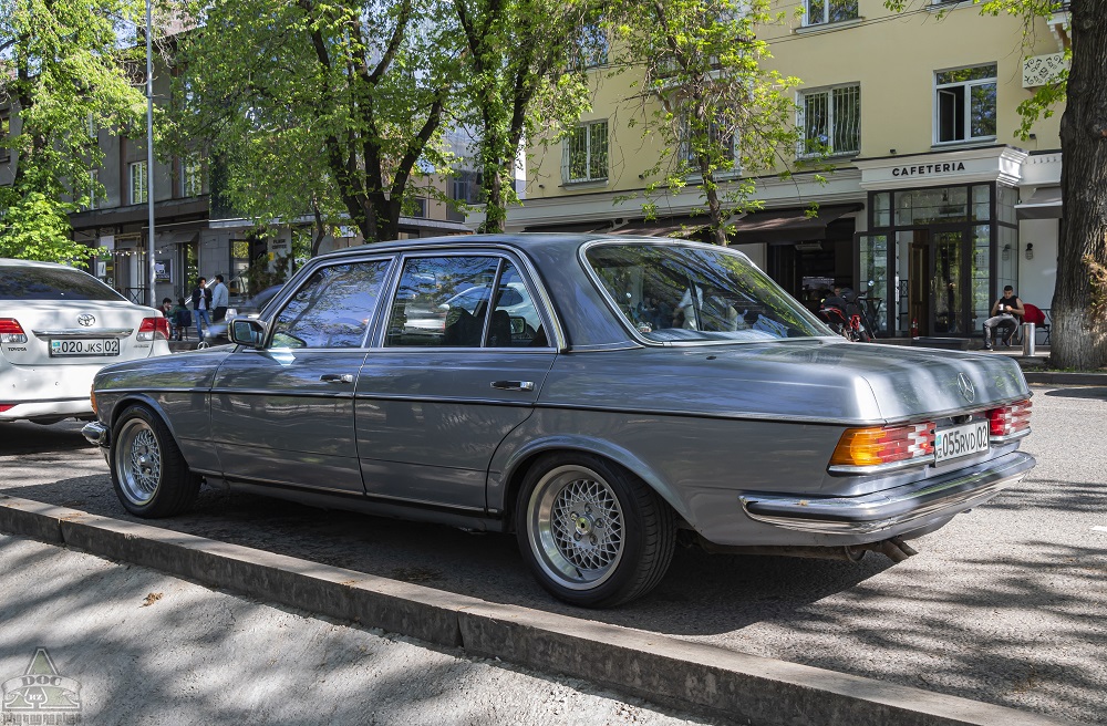 Алматы, № 055 RVD 02 — Mercedes-Benz (W123) '76-86