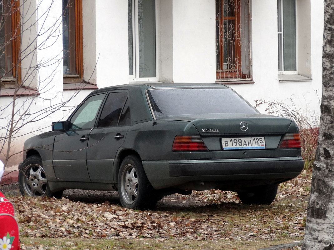 Приморский край, № В 198 АН 125 — Mercedes-Benz (W124) '84-96