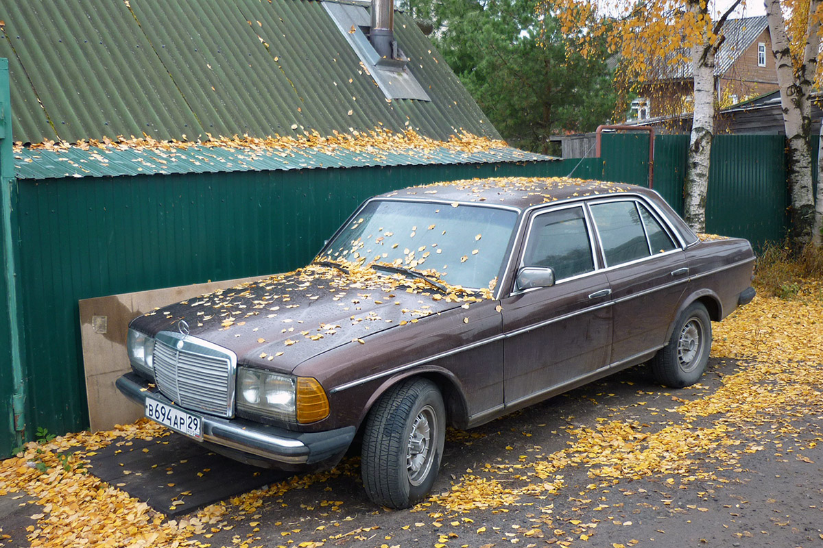 Архангельская область, № В 694 АР 29 — Mercedes-Benz (W123) '76-86