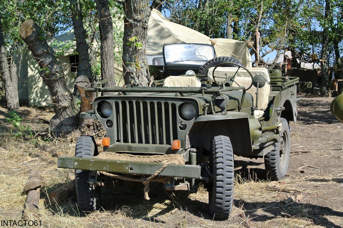 Ростовская область, № (61) Б/Н 0013 — Willys MB '41-45
