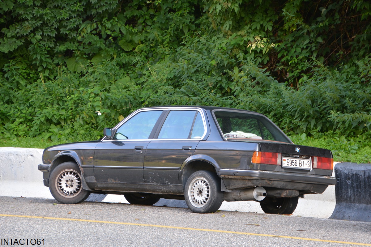 Гомельская область, № 5956 ВI-3 — BMW 3 Series (E30) '82-94