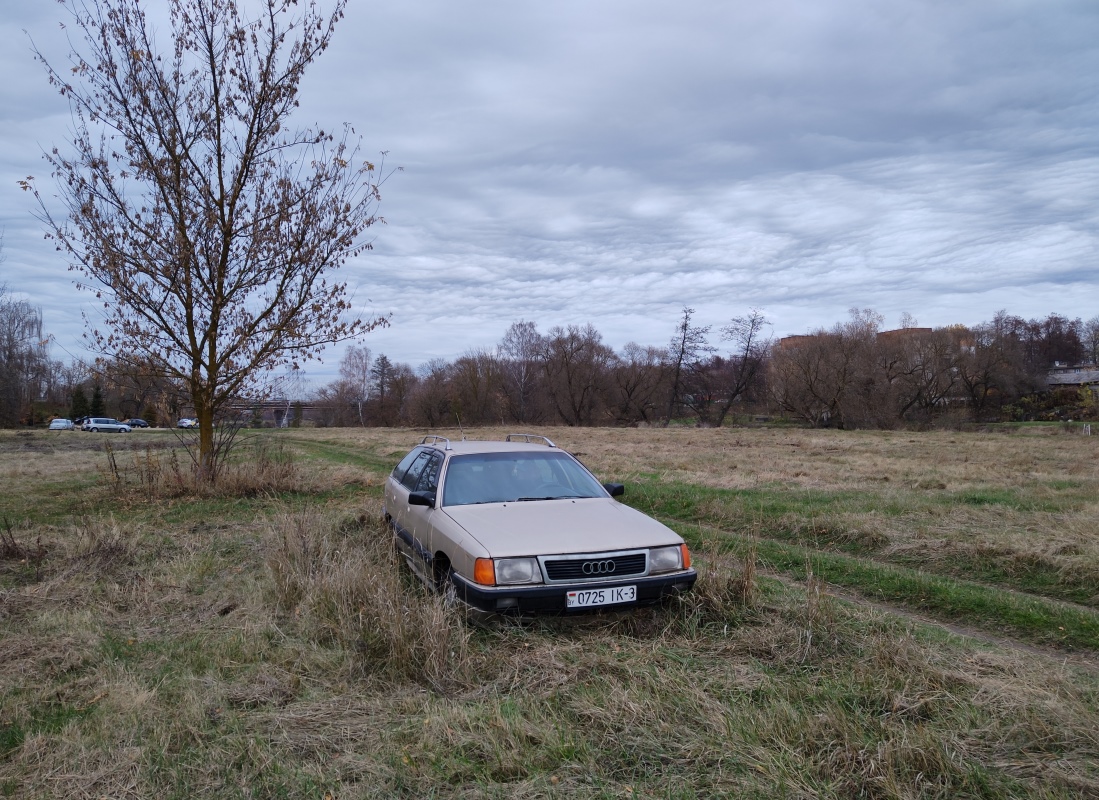Гомельская область, № 0725 ІК-3 — Audi 100 Avant (C3) '82-91