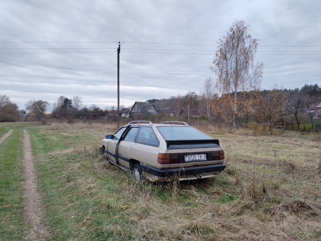 Гомельская область, № 0725 ІК-3 — Audi 100 Avant (C3) '82-91