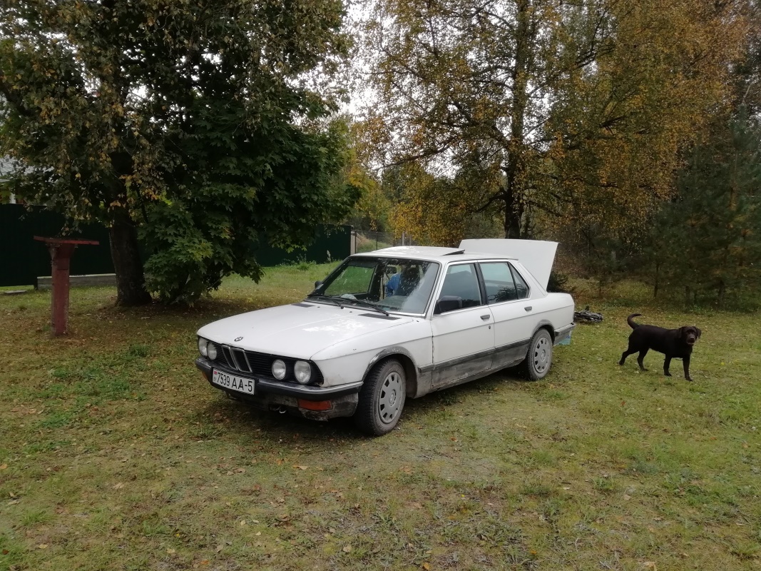 Минская область, № 7539 АА-5 — BMW 5 Series (E28) '82-88