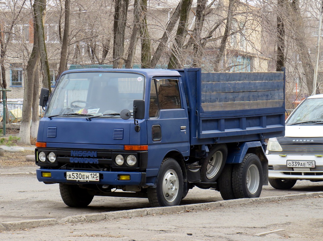 Приморский край, № А 530 ЕН 125 — Nissan (Общая модель)