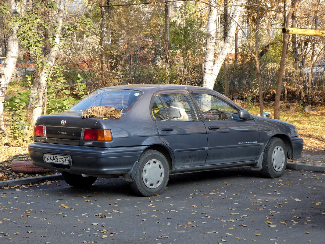 Приморский край, № К 448 СВ 25 — Toyota Corsa (L40) '90–94