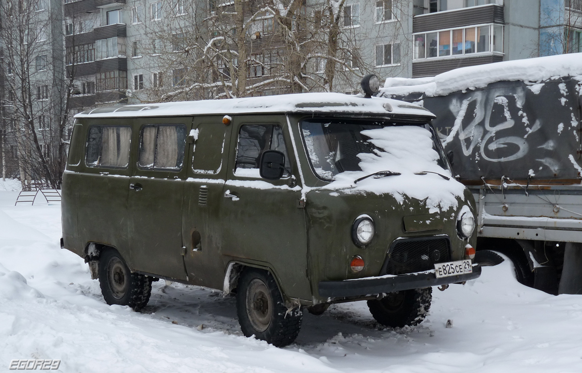 Архангельская область, № Е 825 СЕ 29 — УАЗ-3962 '85-03