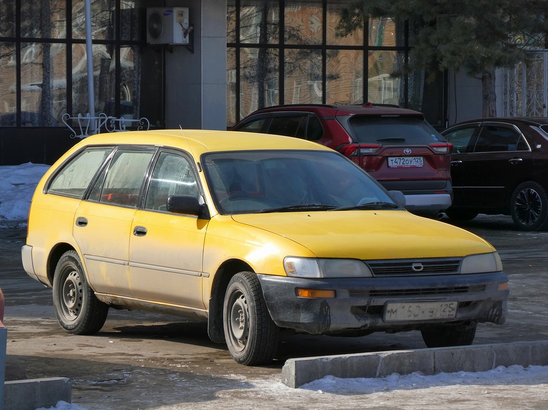 Приморский край, № М 160 КВ 125 — Toyota Corolla (E100) '91-02