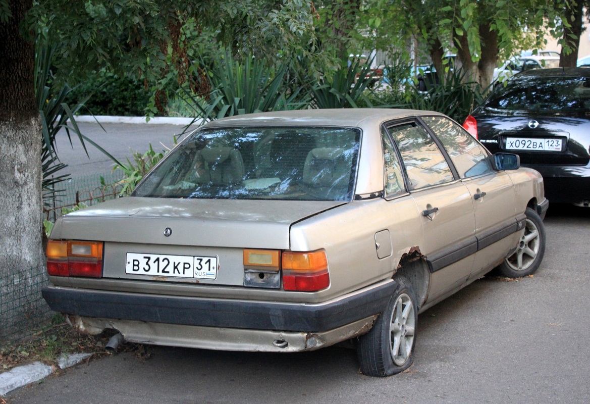 Белгородская область, № В 312 КР 31 — Audi 100 (C3) '82-91