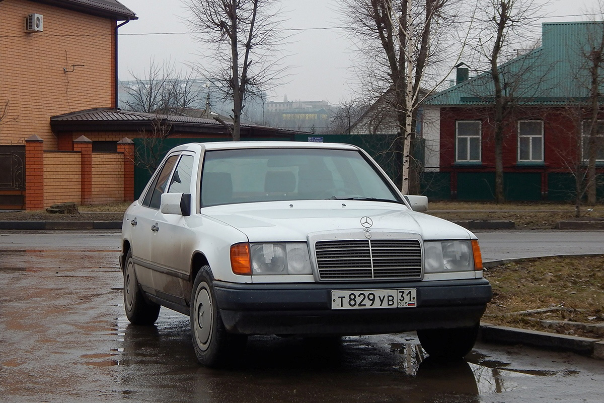Белгородская область, № Т 829 УВ 31 — Mercedes-Benz (W124) '84-96