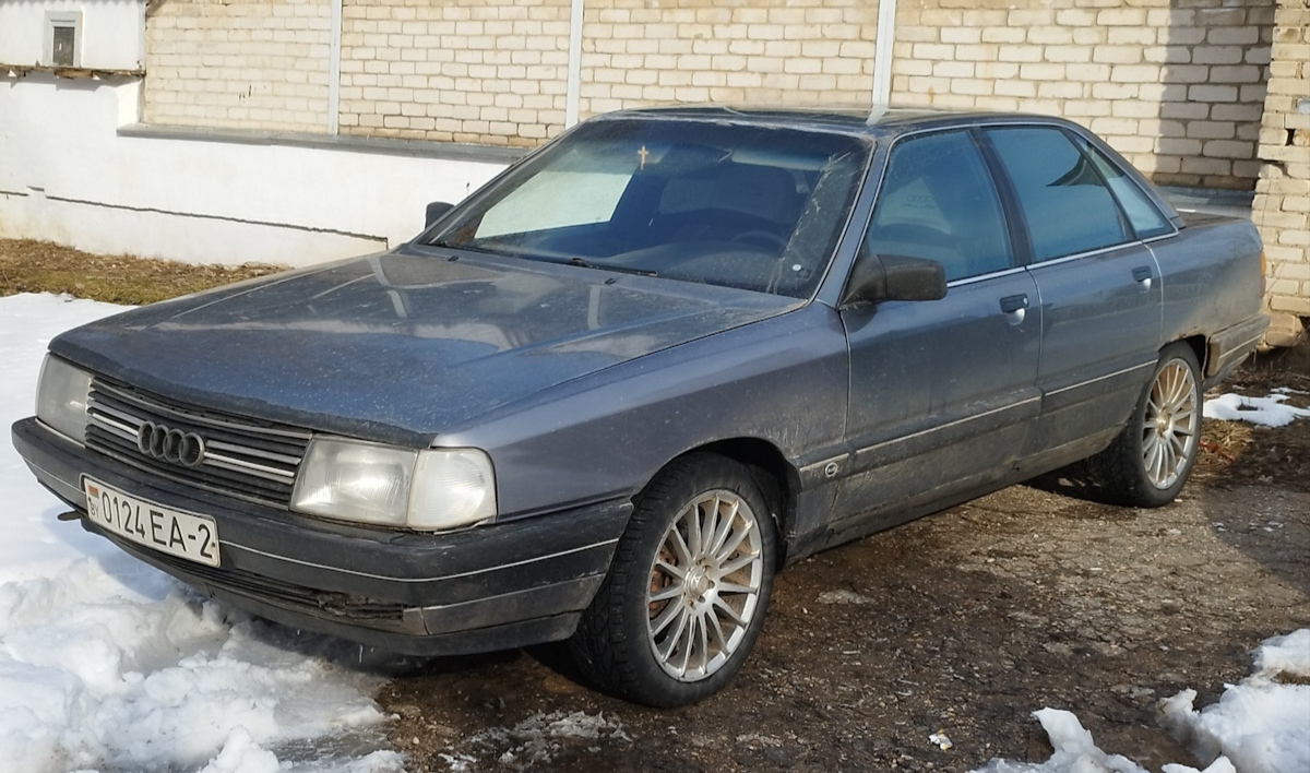 Витебская область, № 0124 ЕА-2 — Audi 100 (C3) '82-91
