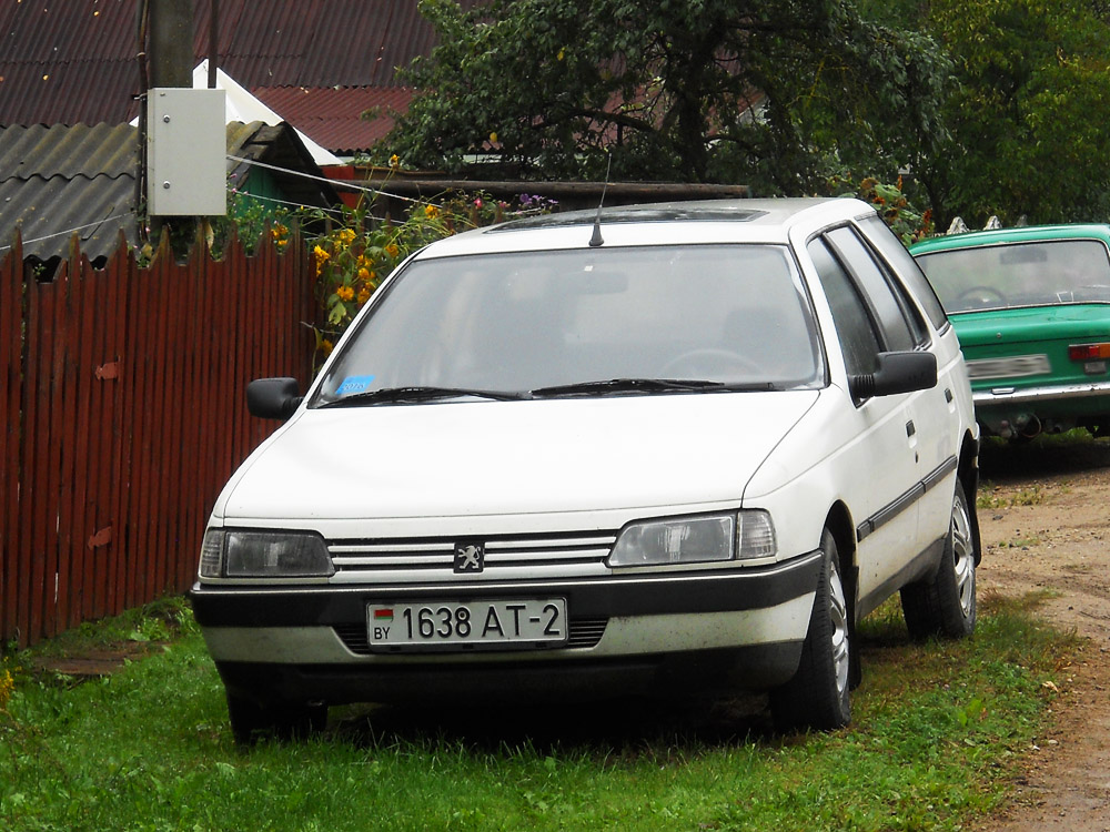 Витебская область, № 1638 АТ-2 — Peugeot 405 '87-93