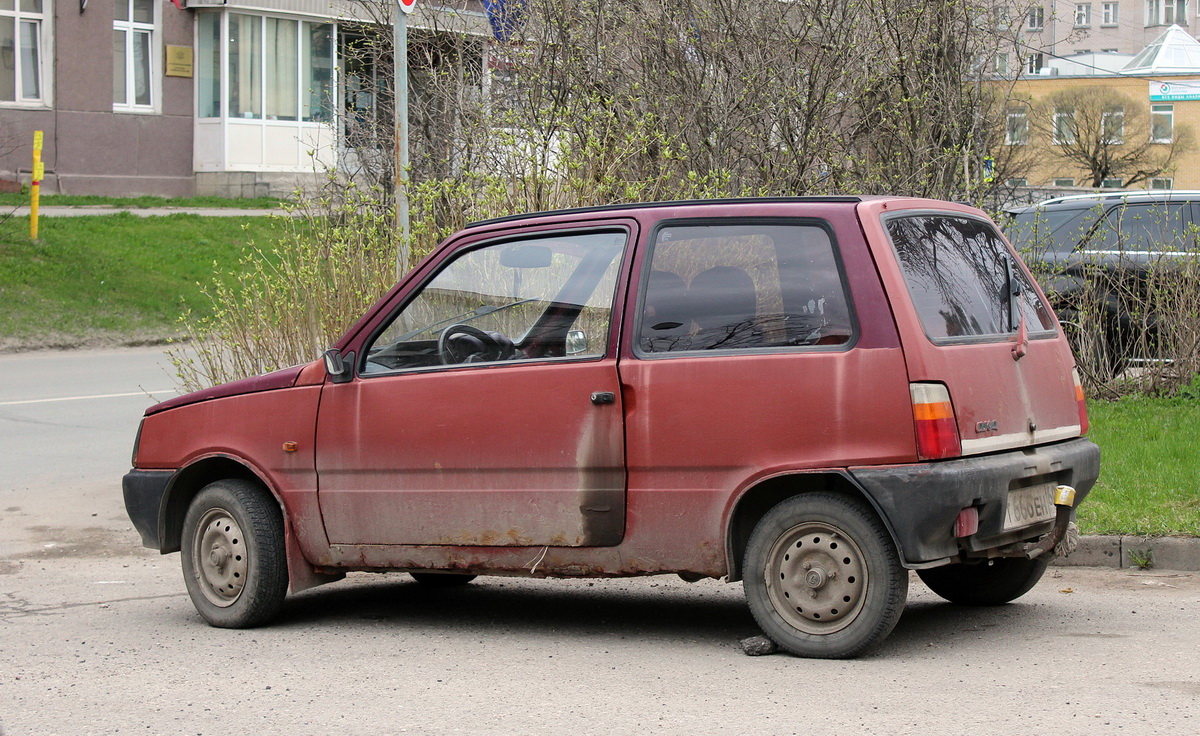 Псковская область, № Т 666 ЕН 60 — ВАЗ-11113 (СеАЗ) '96-07